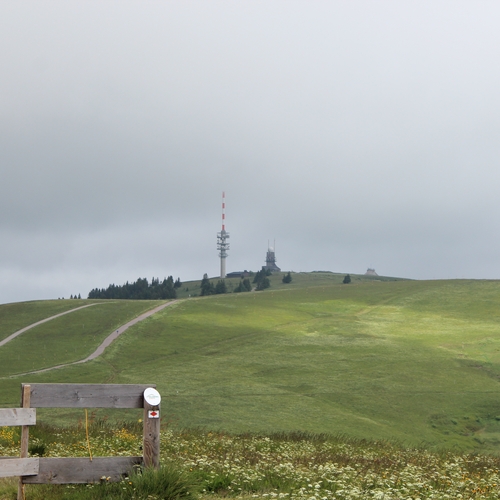 Urlaub im Schwarzwald (4)